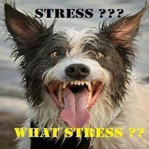 Meet your Posher, Billie